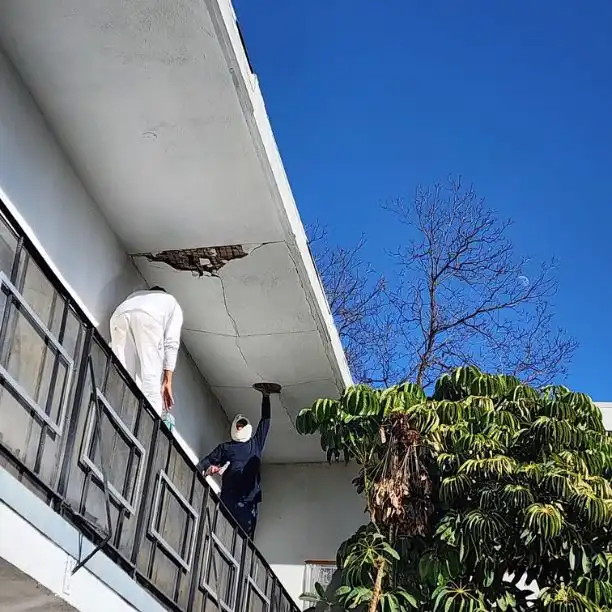 Handymen working